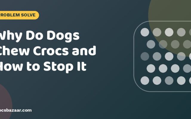 Why Do Dogs Chew Crocs and How to Stop It
