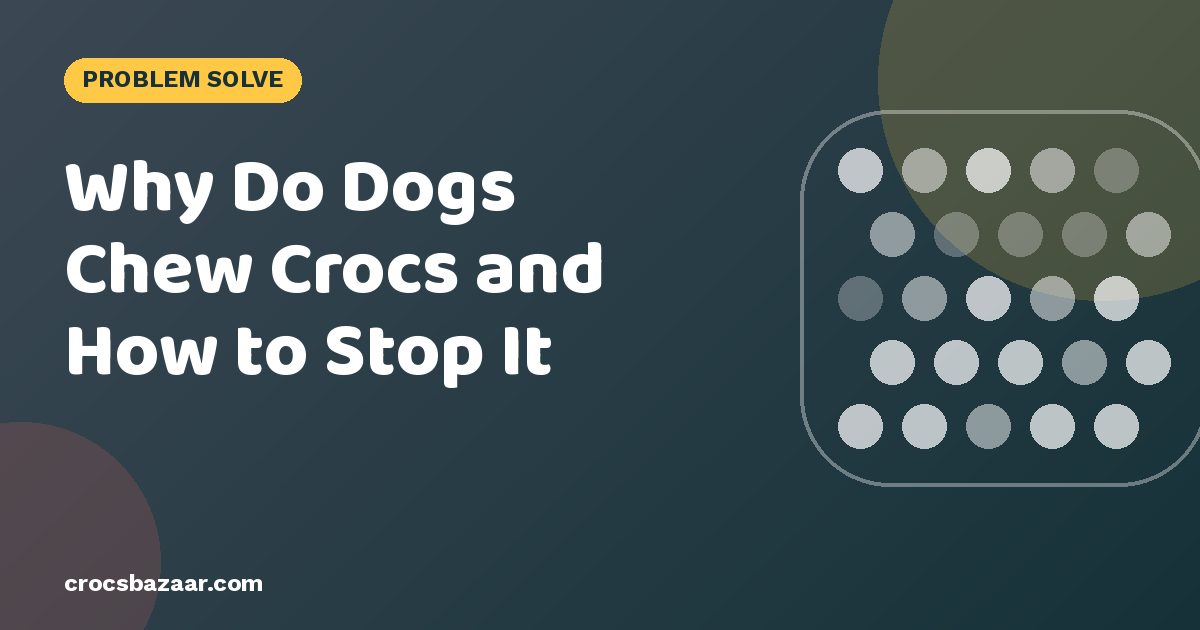 Why Do Dogs Chew Crocs and How to Stop It