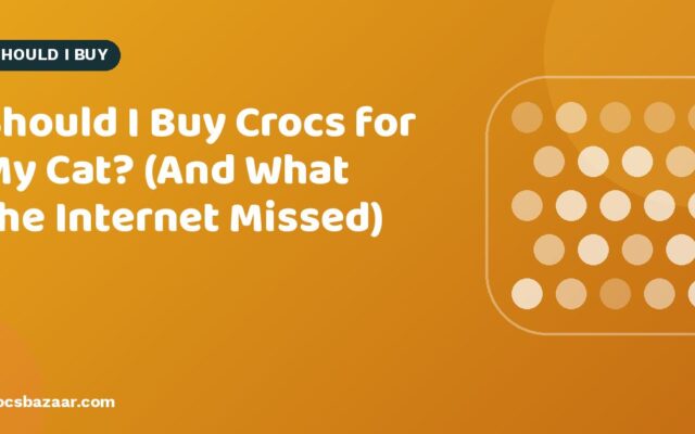 Should I Buy Crocs for My Cat? (And What the Internet Missed)